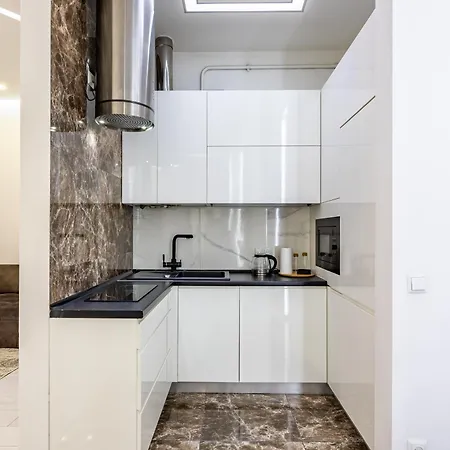 Avangard Mentsynskoho 3 Apartment Lviv